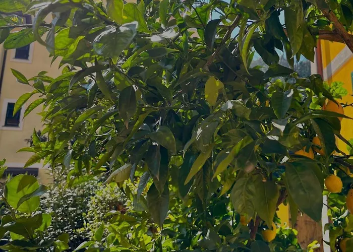 Apartamento Casa Mia Rapallo