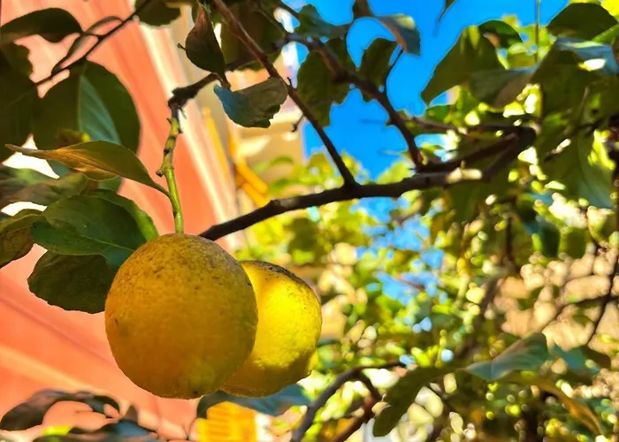 Apartamento Casa Mia Rapallo