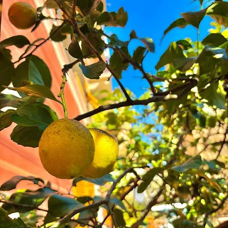 Appartement Casa Mia *