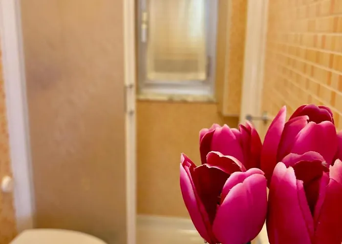 Appartement Casa Mia